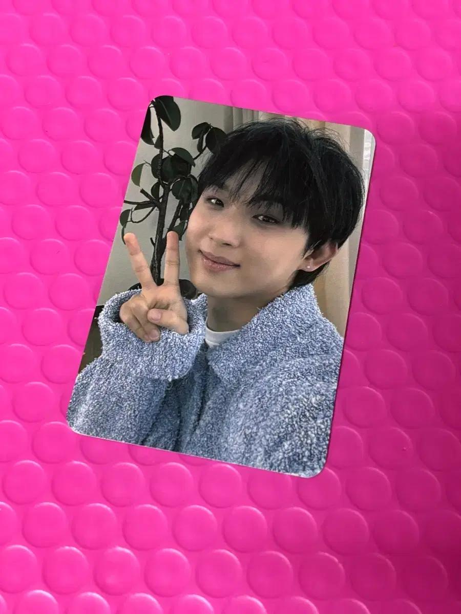 BTOB 7주년 엠디 폴라로이드 비투비 단체 포카 | 브랜드 중고거래
